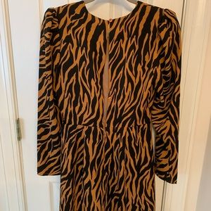 Express Tiger Dress